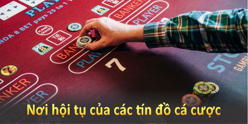 Nhóm kéo Baccarat là nơi hội tụ của các tín đồ cá cược